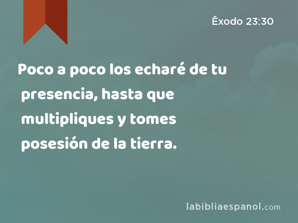 Poco a poco los echaré de tu presencia, hasta que multipliques y tomes posesión de la tierra. - Êxodo 23:30