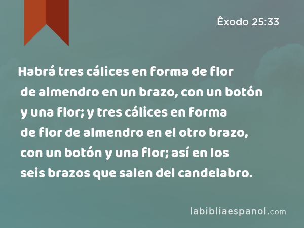 Habrá tres cálices en forma de flor de almendro en un brazo, con un botón y una flor; y tres cálices en forma de flor de almendro en el otro brazo, con un botón y una flor; así en los seis brazos que salen del candelabro. - Êxodo 25:33