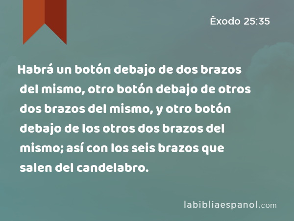 Habrá un botón debajo de dos brazos del mismo, otro botón debajo de otros dos brazos del mismo, y otro botón debajo de los otros dos brazos del mismo; así con los seis brazos que salen del candelabro. - Êxodo 25:35