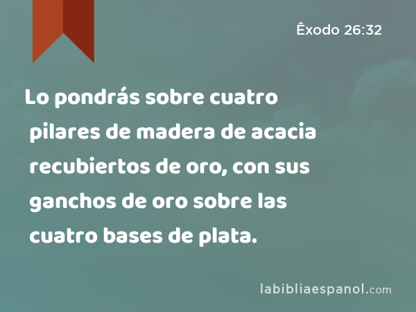 Lo pondrás sobre cuatro pilares de madera de acacia recubiertos de oro, con sus ganchos de oro sobre las cuatro bases de plata. - Êxodo 26:32