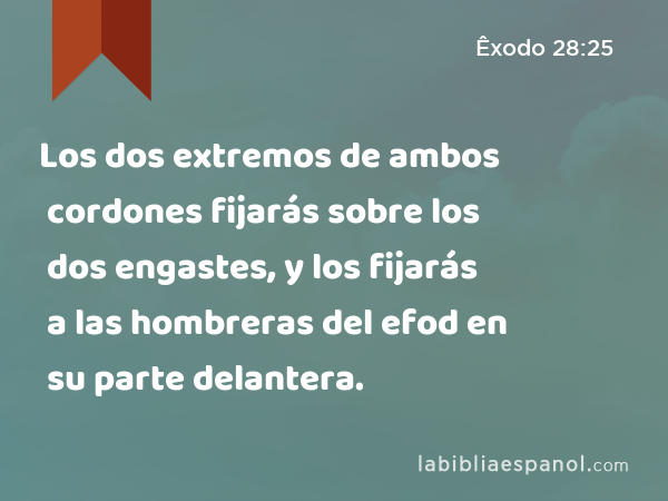 Los dos extremos de ambos cordones fijarás sobre los dos engastes, y los fijarás a las hombreras del efod en su parte delantera. - Êxodo 28:25