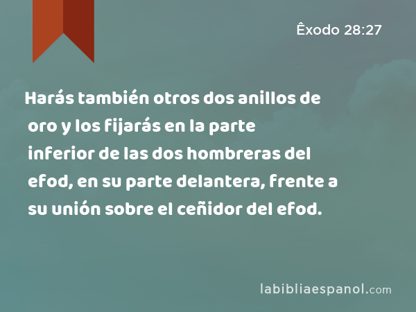 Harás también otros dos anillos de oro y los fijarás en la parte inferior de las dos hombreras del efod, en su parte delantera, frente a su unión sobre el ceñidor del efod. - Êxodo 28:27