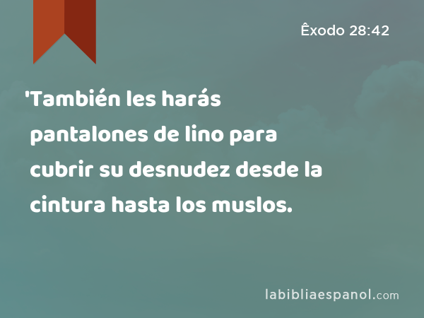 'También les harás pantalones de lino para cubrir su desnudez desde la cintura hasta los muslos. - Êxodo 28:42