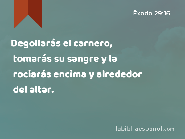 Degollarás el carnero, tomarás su sangre y la rociarás encima y alrededor del altar. - Êxodo 29:16