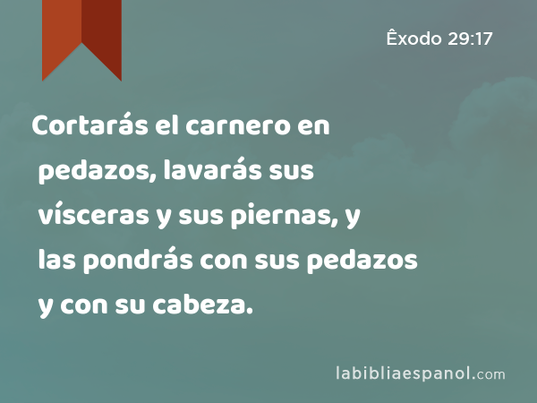 Cortarás el carnero en pedazos, lavarás sus vísceras y sus piernas, y las pondrás con sus pedazos y con su cabeza. - Êxodo 29:17