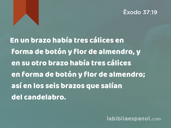 En un brazo había tres cálices en forma de botón y flor de almendro, y en su otro brazo había tres cálices en forma de botón y flor de almendro; así en los seis brazos que salían del candelabro. - Êxodo 37:19