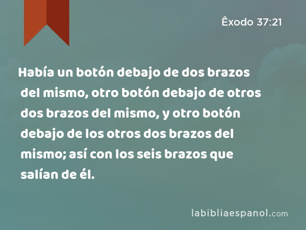 Había un botón debajo de dos brazos del mismo, otro botón debajo de otros dos brazos del mismo, y otro botón debajo de los otros dos brazos del mismo; así con los seis brazos que salían de él. - Êxodo 37:21