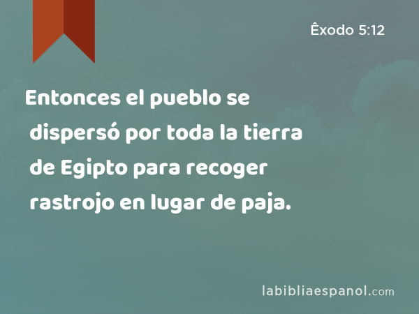 Entonces el pueblo se dispersó por toda la tierra de Egipto para recoger rastrojo en lugar de paja. - Êxodo 5:12