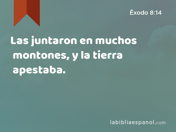 Las juntaron en muchos montones, y la tierra apestaba. - Êxodo 8:14