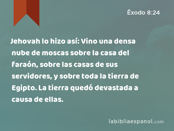 Jehovah lo hizo así: Vino una densa nube de moscas sobre la casa del faraón, sobre las casas de sus servidores, y sobre toda la tierra de Egipto. La tierra quedó devastada a causa de ellas. - Êxodo 8:24