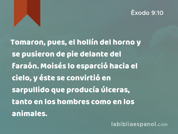 Tomaron, pues, el hollín del horno y se pusieron de pie delante del faraón. Moisés lo esparció hacia el cielo, y éste se convirtió en sarpullido que producía úlceras, tanto en los hombres como en los animales. - Êxodo 9:10