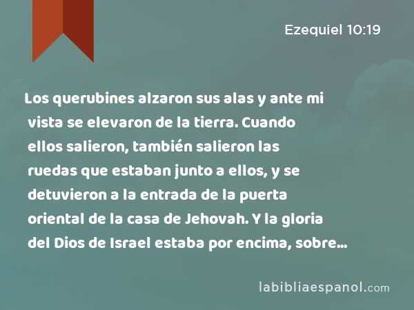 Los querubines alzaron sus alas y ante mi vista se elevaron de la tierra. Cuando ellos salieron, también salieron las ruedas que estaban junto a ellos, y se detuvieron a la entrada de la puerta oriental de la casa de Jehovah. Y la gloria del Dios de Israel estaba por encima, sobre ellos. - Ezequiel 10:19