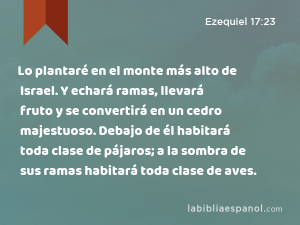 Lo plantaré en el monte más alto de Israel. Y echará ramas, llevará fruto y se convertirá en un cedro majestuoso. Debajo de él habitará toda clase de pájaros; a la sombra de sus ramas habitará toda clase de aves. - Ezequiel 17:23