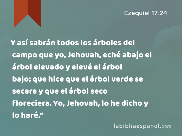 Y así sabrán todos los árboles del campo que yo, Jehovah, eché abajo el árbol elevado y elevé el árbol bajo; que hice que el árbol verde se secara y que el árbol seco floreciera. Yo, Jehovah, lo he dicho y lo haré.’' - Ezequiel 17:24