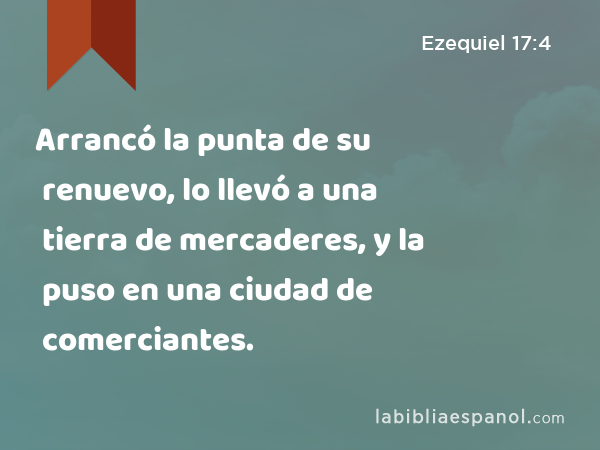 Arrancó la punta de su renuevo, lo llevó a una tierra de mercaderes, y la puso en una ciudad de comerciantes. - Ezequiel 17:4