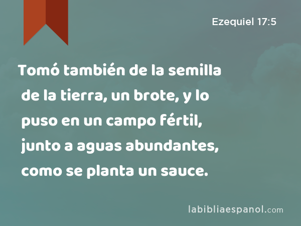 Tomó también de la semilla de la tierra, un brote, y lo puso en un campo fértil, junto a aguas abundantes, como se planta un sauce. - Ezequiel 17:5