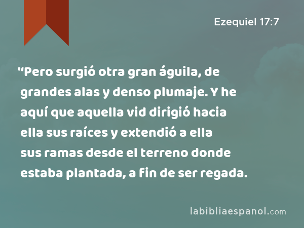 '‘Pero surgió otra gran águila, de grandes alas y denso plumaje. Y he aquí que aquella vid dirigió hacia ella sus raíces y extendió a ella sus ramas desde el terreno donde estaba plantada, a fin de ser regada. - Ezequiel 17:7