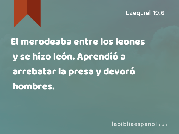 El merodeaba entre los leones y se hizo león. Aprendió a arrebatar la presa y devoró hombres. - Ezequiel 19:6