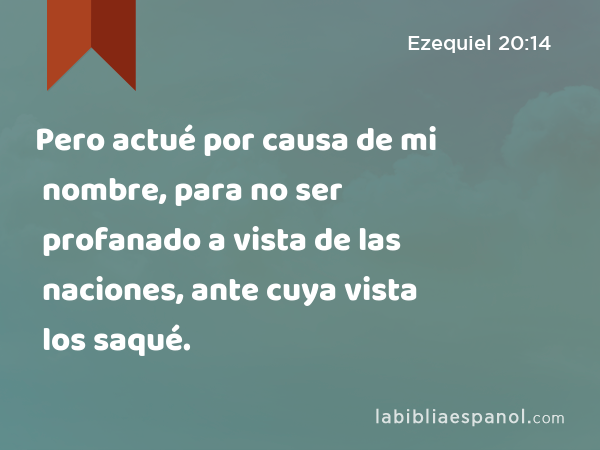 Pero actué por causa de mi nombre, para no ser profanado a vista de las naciones, ante cuya vista los saqué. - Ezequiel 20:14