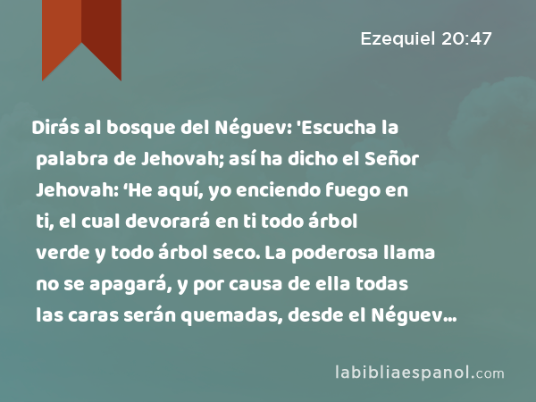 Dirás al bosque del Néguev: 'Escucha la palabra de Jehovah; así ha dicho el Señor Jehovah: ‘He aquí, yo enciendo fuego en ti, el cual devorará en ti todo árbol verde y todo árbol seco. La poderosa llama no se apagará, y por causa de ella todas las caras serán quemadas, desde el Néguev hasta el norte. - Ezequiel 20:47