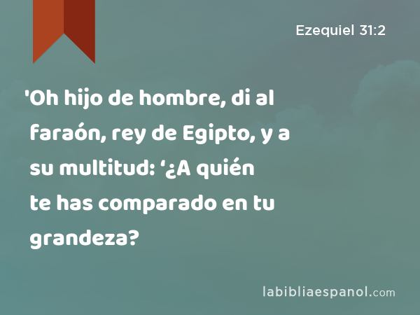 'Oh hijo de hombre, di al faraón, rey de Egipto, y a su multitud: ‘¿A quién te has comparado en tu grandeza? - Ezequiel 31:2