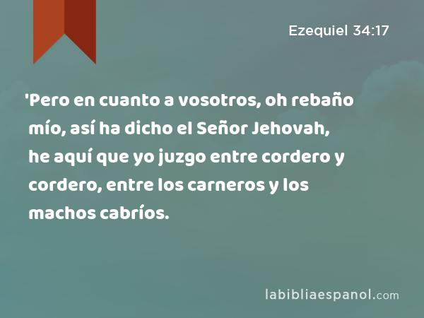 'Pero en cuanto a vosotros, oh rebaño mío, así ha dicho el Señor Jehovah, he aquí que yo juzgo entre cordero y cordero, entre los carneros y los machos cabríos. - Ezequiel 34:17