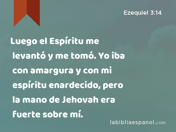 Luego el Espíritu me levantó y me tomó. Yo iba con amargura y con mi espíritu enardecido, pero la mano de Jehovah era fuerte sobre mí. - Ezequiel 3:14