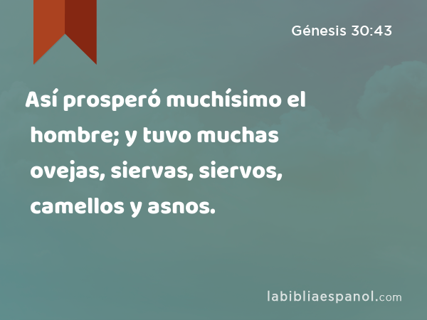 Así prosperó muchísimo el hombre; y tuvo muchas ovejas, siervas, siervos, camellos y asnos. - Génesis 30:43