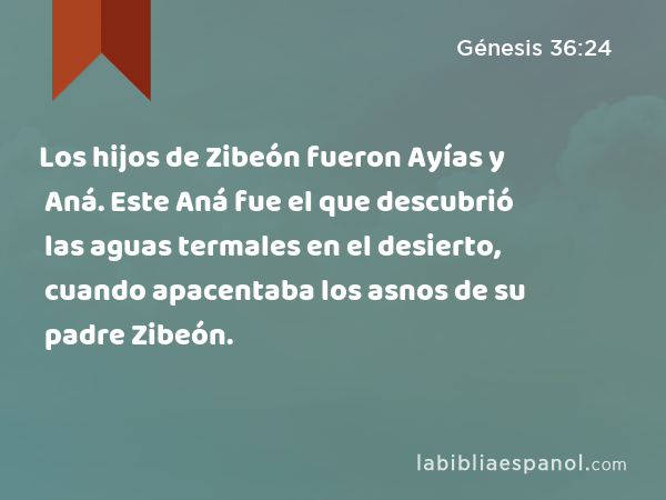 Los hijos de Zibeón fueron Ayías y Aná. Este Aná fue el que descubrió las aguas termales en el desierto, cuando apacentaba los asnos de su padre Zibeón. - Génesis 36:24