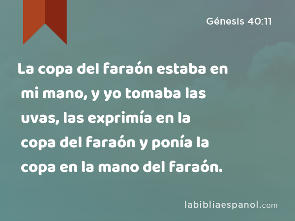 La copa del faraón estaba en mi mano, y yo tomaba las uvas, las exprimía en la copa del faraón y ponía la copa en la mano del faraón. - Génesis 40:11