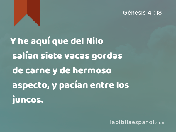 Y he aquí que del Nilo salían siete vacas gordas de carne y de hermoso aspecto, y pacían entre los juncos. - Génesis 41:18