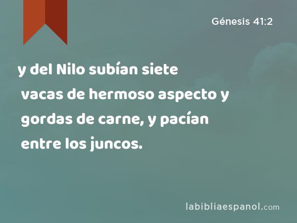 y del Nilo subían siete vacas de hermoso aspecto y gordas de carne, y pacían entre los juncos. - Génesis 41:2