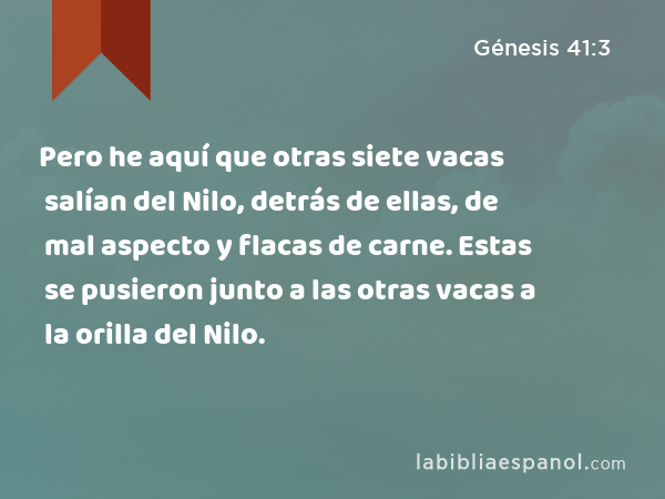 Pero he aquí que otras siete vacas salían del Nilo, detrás de ellas, de mal aspecto y flacas de carne. Estas se pusieron junto a las otras vacas a la orilla del Nilo. - Génesis 41:3