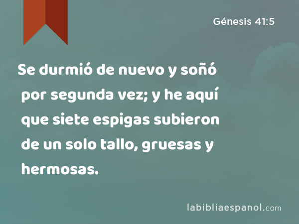 Se durmió de nuevo y soñó por segunda vez; y he aquí que siete espigas subieron de un solo tallo, gruesas y hermosas. - Génesis 41:5