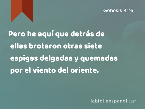 Pero he aquí que detrás de ellas brotaron otras siete espigas delgadas y quemadas por el viento del oriente. - Génesis 41:6