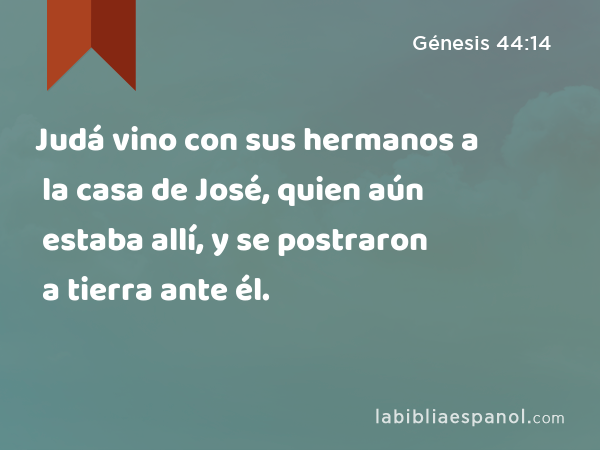 Judá vino con sus hermanos a la casa de José, quien aún estaba allí, y se postraron a tierra ante él. - Génesis 44:14