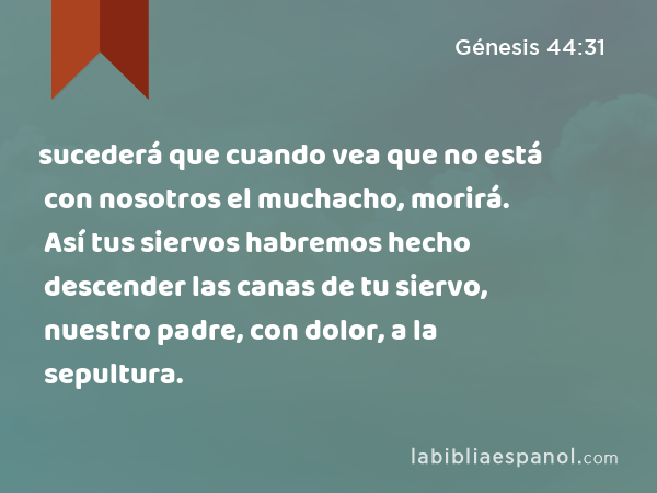 sucederá que cuando vea que no está con nosotros el muchacho, morirá. Así tus siervos habremos hecho descender las canas de tu siervo, nuestro padre, con dolor, a la sepultura. - Génesis 44:31