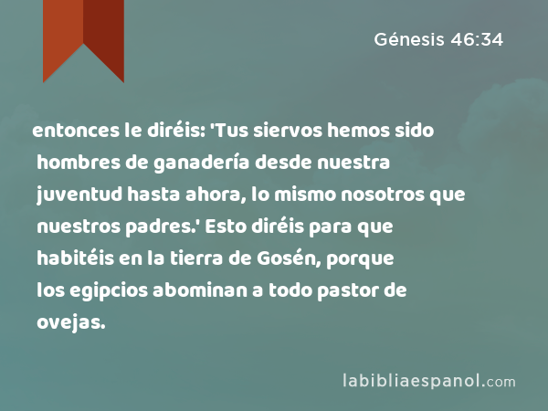 entonces le diréis: 'Tus siervos hemos sido hombres de ganadería desde nuestra juventud hasta ahora, lo mismo nosotros que nuestros padres.' Esto diréis para que habitéis en la tierra de Gosén, porque los egipcios abominan a todo pastor de ovejas. - Génesis 46:34