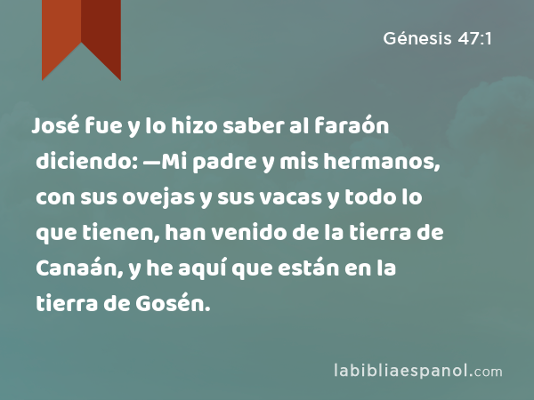 José fue y lo hizo saber al faraón diciendo: —Mi padre y mis hermanos, con sus ovejas y sus vacas y todo lo que tienen, han venido de la tierra de Canaán, y he aquí que están en la tierra de Gosén. - Génesis 47:1