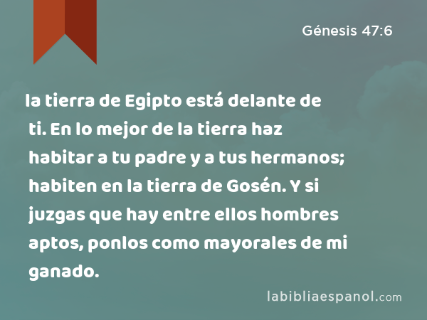 la tierra de Egipto está delante de ti. En lo mejor de la tierra haz habitar a tu padre y a tus hermanos; habiten en la tierra de Gosén. Y si juzgas que hay entre ellos hombres aptos, ponlos como mayorales de mi ganado. - Génesis 47:6