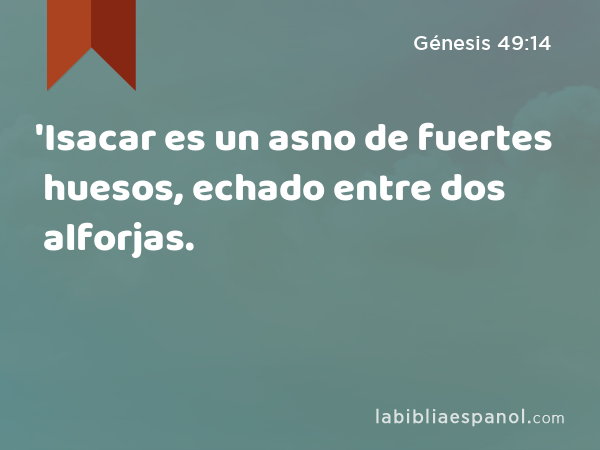 'Isacar es un asno de fuertes huesos, echado entre dos alforjas. - Génesis 49:14