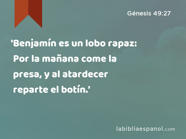 'Benjamín es un lobo rapaz: Por la mañana come la presa, y al atardecer reparte el botín.' - Génesis 49:27