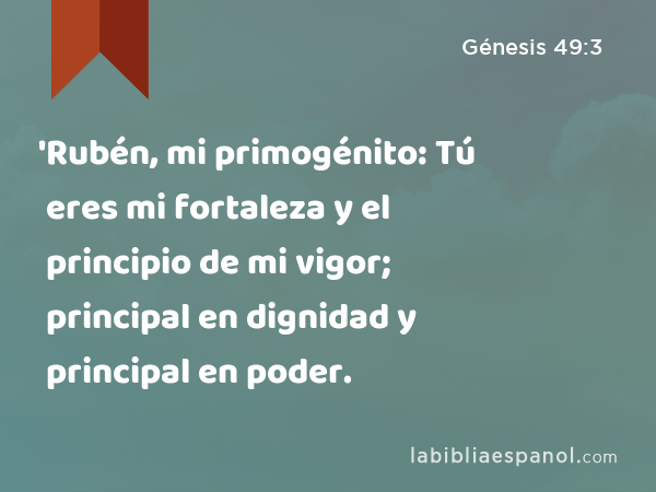 'Rubén, mi primogénito: Tú eres mi fortaleza y el principio de mi vigor; principal en dignidad y principal en poder. - Génesis 49:3