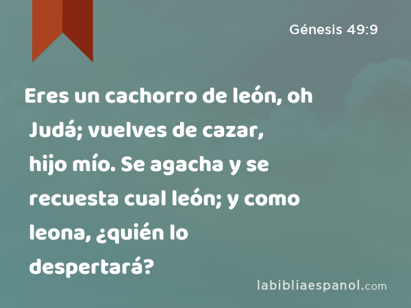 Eres un cachorro de león, oh Judá; vuelves de cazar, hijo mío. Se agacha y se recuesta cual león; y como leona, ¿quién lo despertará? - Génesis 49:9