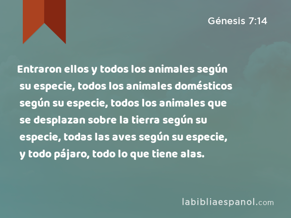 Entraron ellos y todos los animales según su especie, todos los animales domésticos según su especie, todos los animales que se desplazan sobre la tierra según su especie, todas las aves según su especie, y todo pájaro, todo lo que tiene alas. - Génesis 7:14