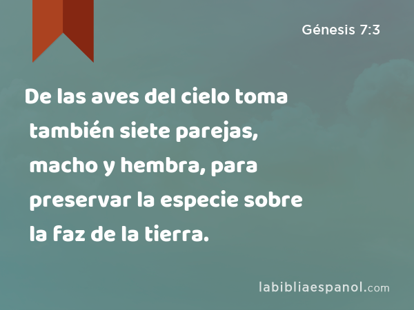 De las aves del cielo toma también siete parejas, macho y hembra, para preservar la especie sobre la faz de la tierra. - Génesis 7:3