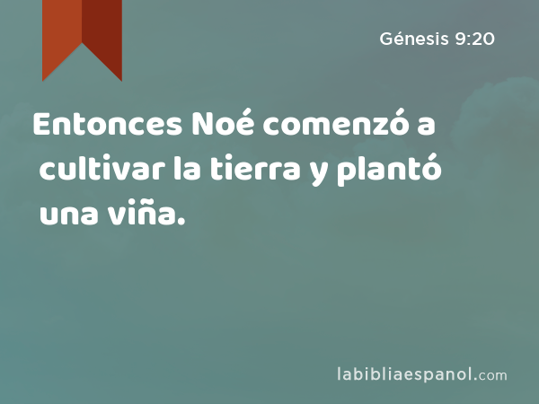 Entonces Noé comenzó a cultivar la tierra y plantó una viña. - Génesis 9:20