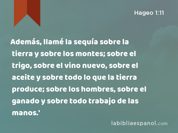 Además, llamé la sequía sobre la tierra y sobre los montes; sobre el trigo, sobre el vino nuevo, sobre el aceite y sobre todo lo que la tierra produce; sobre los hombres, sobre el ganado y sobre todo trabajo de las manos.' - Hageo 1:11