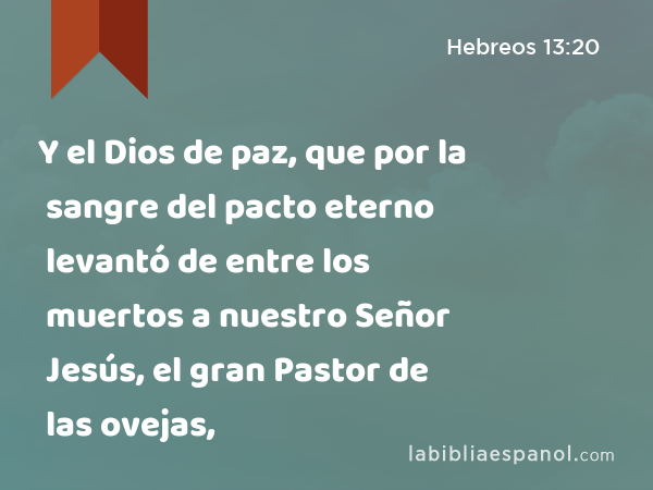 Y el Dios de paz, que por la sangre del pacto eterno levantó de entre los muertos a nuestro Señor Jesús, el gran Pastor de las ovejas, - Hebreos 13:20