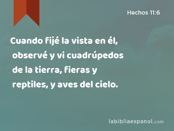 Cuando fijé la vista en él, observé y vi cuadrúpedos de la tierra, fieras y reptiles, y aves del cielo. - Hechos 11:6